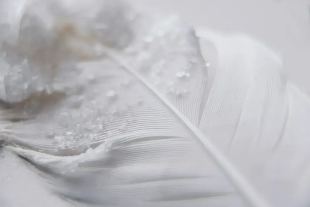 水晶項鍊：美與能量的珍貴結合