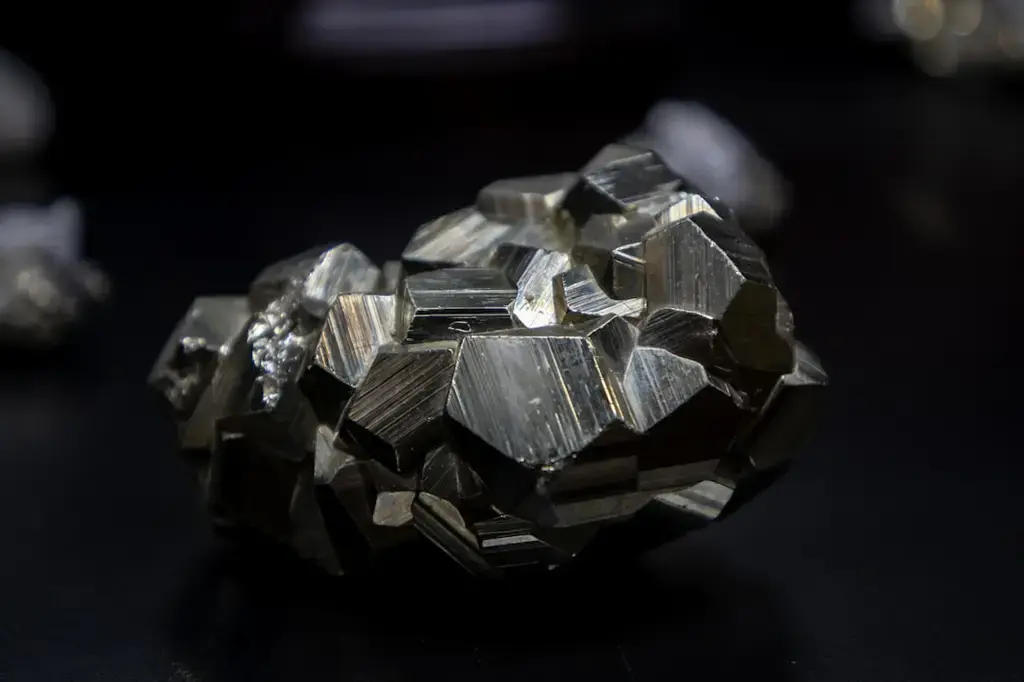 千層綠幽靈功效:招財、轉運、提升健康!