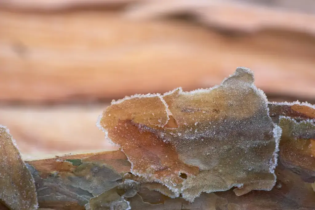 台灣水晶市集：寶石奇石愛好者的天堂